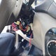 KM8J23A48HU527382 2017 Hyundai Tucson Se auction photo thumbnail 6