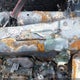 3TMJU4GN8BM123594 2011 Toyota Tacoma Prerunner V6 auction photo thumbnail 9