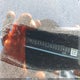 7MUBAAAG3NV033480 2022 Toyota Corolla Cross Le auction photo thumbnail 9