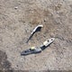 JTDKN3DU0D5580271 2013 Toyota Prius Four auction photo thumbnail 12