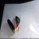 2FMPK3K98LBA16662 2020 Ford Edge Titanium auction photo thumbnail 11