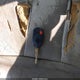 3FAHP08157R152772 2007 Ford Fusion Sel auction photo thumbnail 11