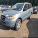 5NMSG13D29H266643 2009 Hyundai Santa Fe Gls auction photo thumbnail 2