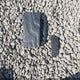 1C6JJTAG0LL129140 2020 Jeep Gladiator Sport S 4X4 auction photo thumbnail 11