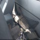 1FTKR1EE5BPB22890 2011 Ford Ranger Xlt auction photo thumbnail 8