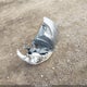 JN1CV6AR3AM458224 2010 Infiniti G37X auction photo thumbnail 12