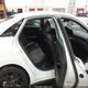 KMHLR4DF9SU931791 2025 Hyundai Elantra N Line auction photo thumbnail 8