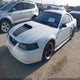 1FAFP42X73F313173 2003 Ford Mustang Gt auction photo thumbnail 2