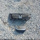 JHMCP26838C067136 2008 Honda Accord 2.4 Ex-L auction photo thumbnail 11