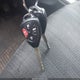 2T1BU4EE2DC997930 2013 Toyota Corolla S auction photo thumbnail 11