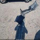 3KPF24AD5PE582949 2023 Kia Forte Lx auction photo thumbnail 12