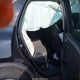 1FMCU0G66LUB30370 2020 Ford Escape Se auction photo thumbnail 8
