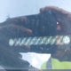 JHLRE48397C005398 2007 Honda Cr-V Lx auction photo thumbnail 18