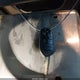 1FT7W2BT4CEB21380 2012 Ford F-250 Lariat auction photo thumbnail 11