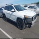 1C4PJMDS6HW590986 2017 Jeep Cherokee High Altitude 4X4 auction photo thumbnail 1