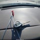 2HGES16501H558731 2001 Honda Civic Lx auction photo thumbnail 11