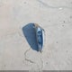 KNDP63AC8M7925582 2021 Kia Sportage S auction photo thumbnail 12