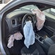 2C3CDXBG0PH686815 2023 Dodge Charger Sxt auction photo thumbnail 8