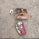 1GNDT13S252280731 2005 Chevrolet Trailblazer Ls auction photo thumbnail 12
