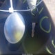 1HD1LP319MB414489 2021 Harley-Davidson Xl1200 Ns auction photo thumbnail 11