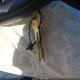 1FTDF15Y4HLA37132 1987 Ford F150 auction photo thumbnail 11