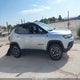 3C4NJDDN7ST594866 2025 Jeep Compass Trailhawk 4X4 auction photo thumbnail 13