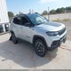 3C4NJDDN7ST594866 2025 Jeep Compass Trailhawk 4X4 auction photo thumbnail 1
