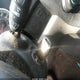 5J6RE38718L004297 2008 Honda Cr-V Ex-L auction photo thumbnail 11