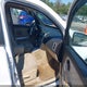 2CNDL13F776224944 2007 Chevrolet Equinox Ls auction photo thumbnail 8