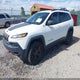 1C4PJMBB4HW635880 2017 Jeep Cherokee Trailhawk 4X4 auction photo thumbnail 2