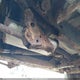 JT3HN87RXV0076487 1997 Toyota 4Runner Sr5 V6 Limited auction photo thumbnail 12