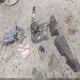 1G1YY25U075110247 2007 Chevrolet Corvette auction photo thumbnail 12