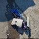 SALSH23499A200127 2009 Land Rover Range Rover Sport Supercharged auction photo thumbnail 12
