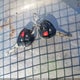 2T3ZF4DV2CW129019 2012 Toyota Rav4 auction photo thumbnail 11