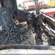 JALE5W163R7300342 2024 Isuzu Nrr auction photo thumbnail 5