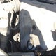 3GYFNEE3XCS591845 2012 Cadillac Srx Performance Collection auction photo thumbnail 6