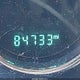 1C4AJWAG2FL702666 2015 Jeep Wrangler Sport auction photo thumbnail 15