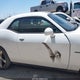 2C3CDZAT4FH816717 2015 Dodge Challenger R/T Shaker auction photo thumbnail 14