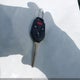 JF2SJAAC8EH447450 2014 Subaru Forester 2.5I auction photo thumbnail 11