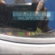 1N4AL3AP2FC154702 2015 Nissan Altima 2.5 S auction photo thumbnail 13