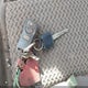 1N6AD06WX5C457051 2005 Nissan Frontier Se auction photo thumbnail 11