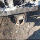 1GT49WEY1LF282305 2020 GMC Sierra 3500Hd 4Wd Long Bed Denali auction photo thumbnail 12