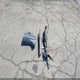 4T1DAACK8SU114918 2025 Toyota Camry Se auction photo thumbnail 12