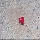 1D7HW48N95S227939 2005 Dodge Dakota Slt auction photo thumbnail 12