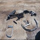 1G1ZD5ST7MF027028 2021 Chevrolet Malibu Fwd Lt auction photo thumbnail 12