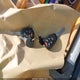 2C4GP54L75R460636 2005 Chrysler Town & Country Touring auction photo thumbnail 11