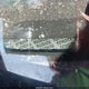 JTJGW31U962000279 2006 Lexus Rx 400 auction photo thumbnail 9