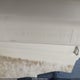 00000SERV3300D616 2016 Sea Ray 21Spxob auction photo thumbnail 9