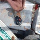 2T1BU4EE3AC407536 2010 Toyota Corolla Le auction photo thumbnail 11