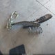 1ZVBP8AN3A5157682 2010 Ford Mustang auction photo thumbnail 12